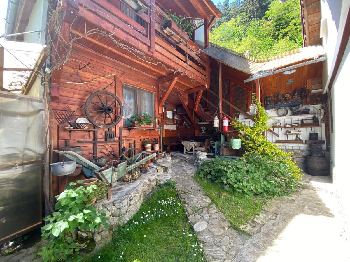 Pensiunea Mioritica Sibiel Exterior foto