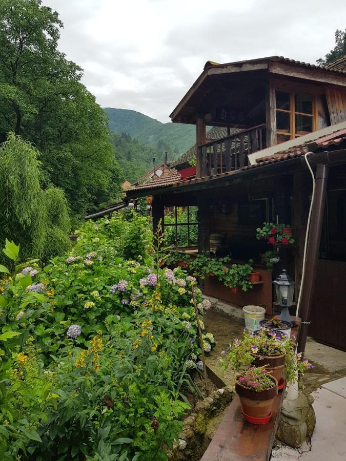 Pensiunea Mioritica Sibiel Exterior foto